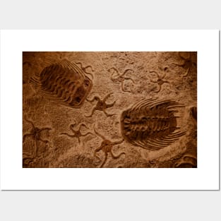 Fossil Posters and Art